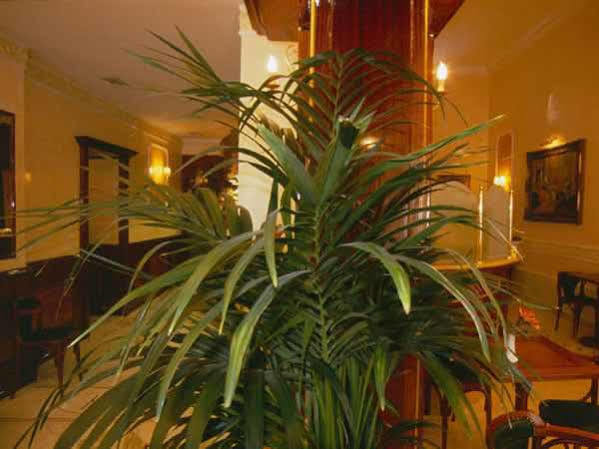 Hotel Quisisana Rome Exterior photo